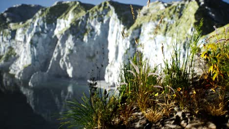 fresh-grass-at-big-rocky-cliff-in-ocean